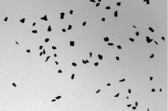 Application of large depth of field and telecentric optical path in particle image analysis