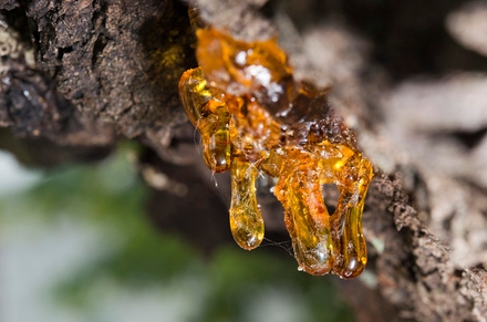 Application of Laser Particle Size Analyzer in Resin Industry